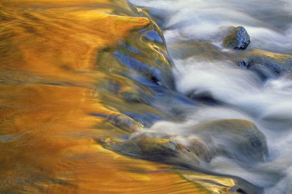 Northeast, Fall reflections on stream rapids